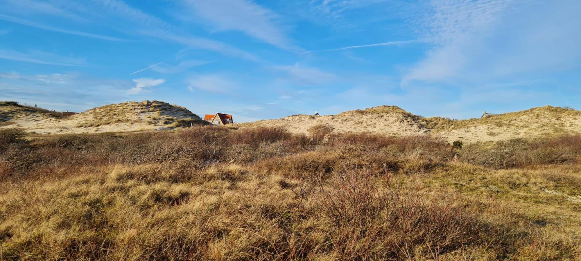 Villa Parnassia Bergen aan Zee Dış mekan fotoğraf